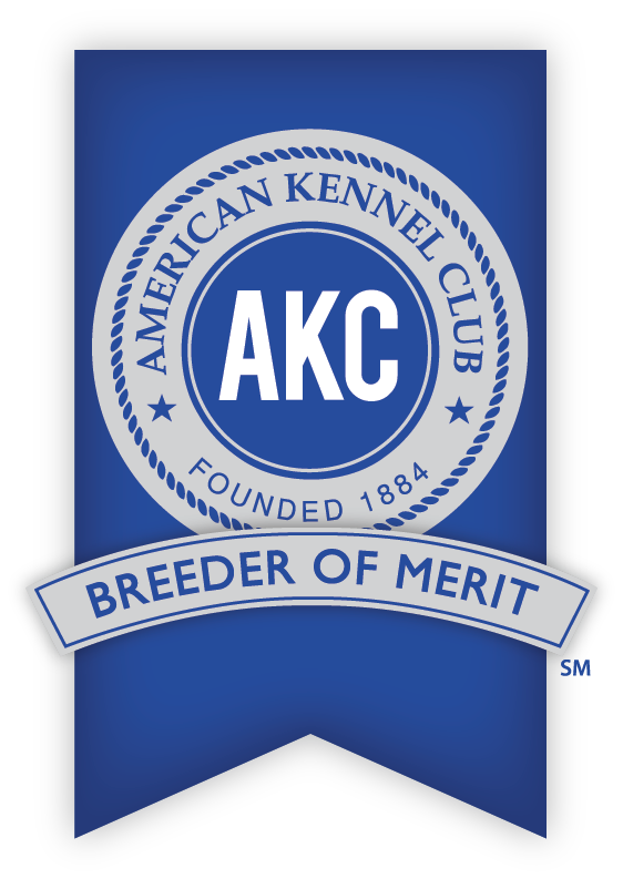 American Kennel Club Breeder Of Merit